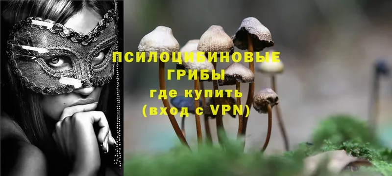 Псилоцибиновые грибы MAGIC MUSHROOMS  Белебей 