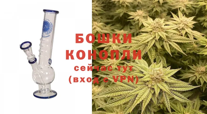 Бошки марихуана THC 21%  продажа наркотиков  Белебей 